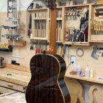 Scafati double-top and Leona case and case cover for sale