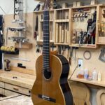 Scafati double-top and Leona case and case cover for sale