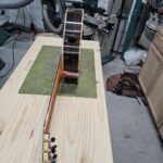 Scafati double-top and Leona case and case cover for sale