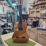 Scafati double-top and Leona case and case cover for sale