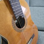 Scafati double-top and Leona case and case cover for sale