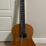 Scafati double-top and Leona case and case cover for sale