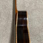 Scafati double-top and Leona case and case cover for sale