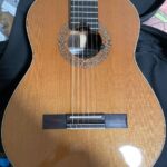 Scafati double-top and Leona case and case cover for sale